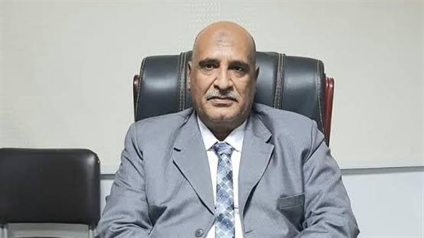 ربيع إسماعيل وكيل