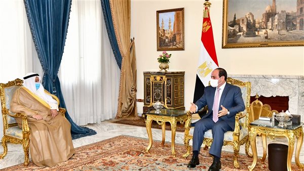 السيسي مع السفير