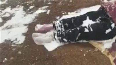 من الحنان ما قتل.. وفاة أم أفغانية مجمدة بعد خلع ملابسها لإنقاذ أطفالها من الصقيع