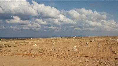 بالمساحة والأسعار.. القاهرة 24 ينشر أراضي الإسكان المطروحة في 14 مدينة جديدة│ انفراد 