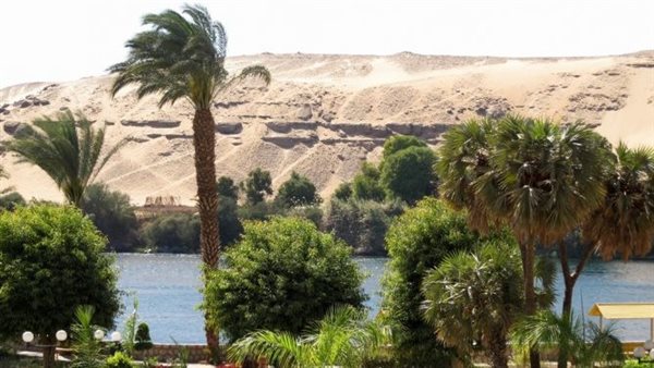  نباتا بجنوب النوبة