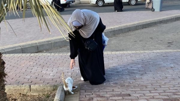 إيمي سمير غانم