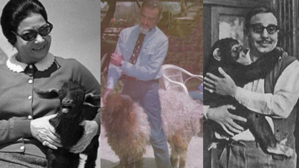 فؤاد المهندس وأحمد