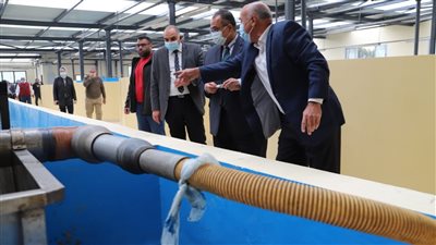 جامعة عين شمس تنشئ صوبا زراعية تنتج ما يعادل 2 فدان من نبات الطماطم