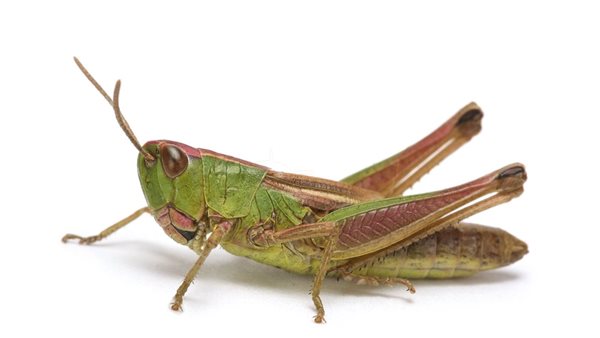 صورة تعبيرية