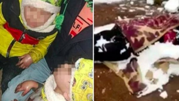 الأم الأفغانية وطفليها