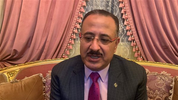 الدكتور وائل نجيب