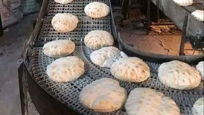 غلق مخبز بلدي لمدة شهر لإنتاج خبز ناقص الوزن بالبحيرة