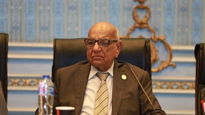 بقرار محكمة.. رئيس قوى الشيوخ يكشف كواليس فصل العامل في قانون العمل الجديد