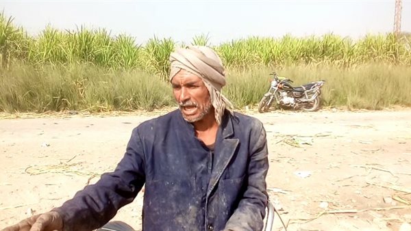  مزارعي الأقصر