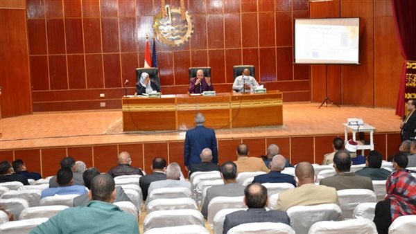 محافظ أسوان