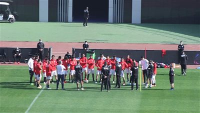 بعد إصابة الحضري وأبو جبل.. مسحة كورونا جديدة للاطمئنان على بعثة منتخب مصر