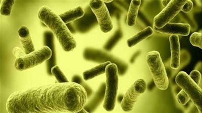 خبير أمراض معدية يوضح أسباب ارتفاع معدل الإصابة بالعدوى الفطرية