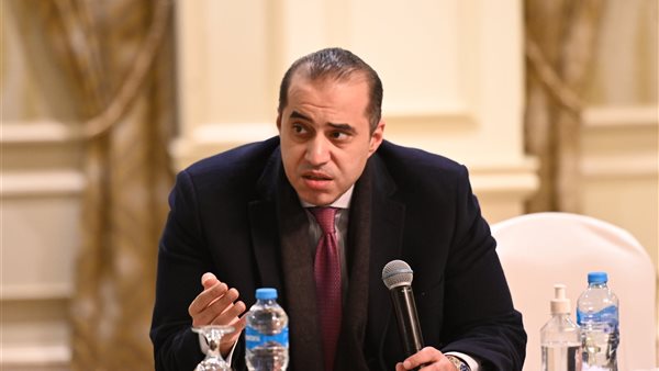 المستشار محمود فوزي