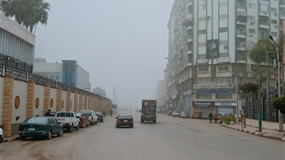 شبورة مائية تغطي الطرق بمحافظة الدقهلية | صور