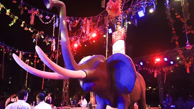 بمؤثرات عالمية.. مغامرات وأدغال جومانجي في أول حفل على ليك دي كير عين الصيرة| صور 