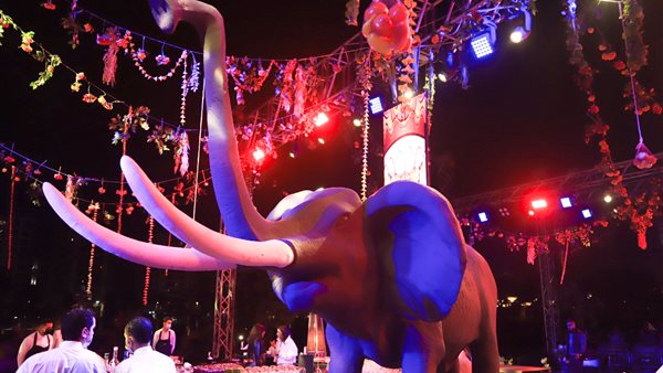 أجواء حفل جومانجي