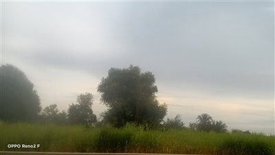 حالة الطقس بأسوان.. شبورة مائية وسماء ملبدة بالسحب 