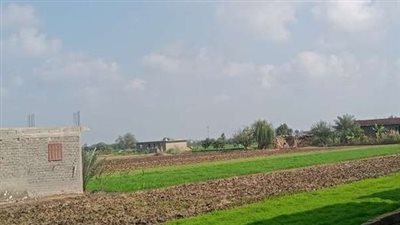 معتدل نهارا.. تعرف على حالة الطقس اليوم بمحافظة البحيرة