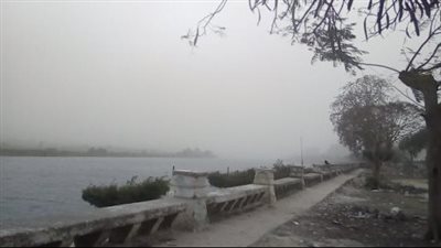 أمطار خفيفة ورياح محملة بالأتربة.. وانتظام حركة السير بشوارع القاهرة والجيزة | بث مباشر