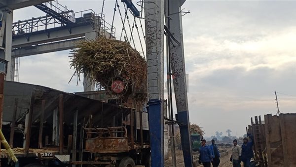 انطلاق موسم عصير