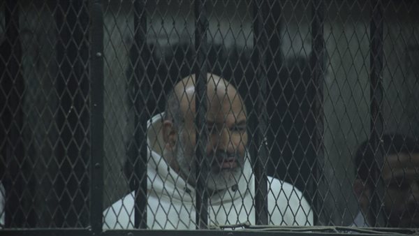 علاء حسانين