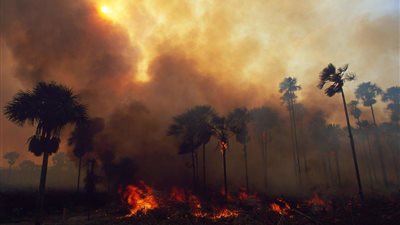 الصحة العالمية: مشكلات التنفس لدى الأطفال بدأت فى الظهور بسبب حرائق الأمازون