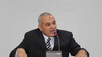 بعد حظر الاستيراد.. رئيس شعبة الدواجن: القرار لا يحمي الصناعة والمربي من الانهيار