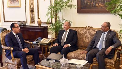خلال لقاء رئيس الوزراء بالسفير الإماراتي.. تعاون مشترك فى مشروع نقل محطة الزهراء للخيول العربية