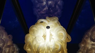 استخدام أمعاء البقر في صناعة المصابيح.. تعرف علي التفاصيل