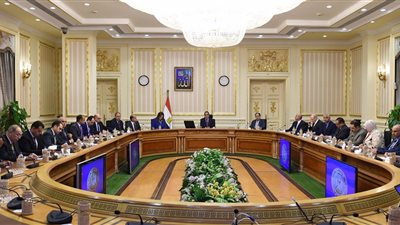 مجلس الوزراء يكشف آخر تطورات الموقف التنفيذي لمشروع تطوير منظومة الجوازات