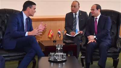 السيسي يبحث مع رئيس وزراء إسبانيا سبل تعزيز العلاقات الثنائية في عدة مجالات (صورة)