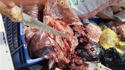 خلال أسبوع.. “الزراعة” تضبط أكثر من 35 طن لحوم ودواجن وأسماك فاسدة في 19 محافظة
