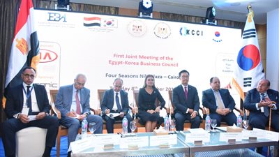 20 شركة كورية يعلنون فى منتدى مجلس الأعمال المصري ضخ استثمارات جديدة فى مصر