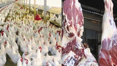 “الثروة الداجنة”: انخفاض سعر اللحوم 20% بسبب زيادة المعروض.. وخبراء: على الحكومة الاهتمام بملف الأسعار