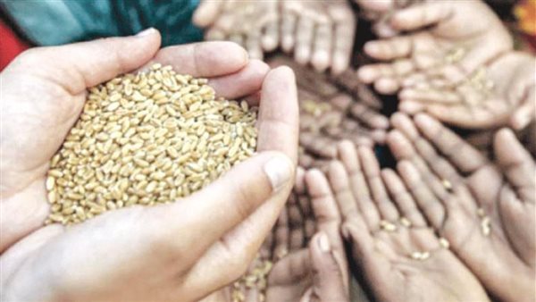 أزمة غذاء عالمية