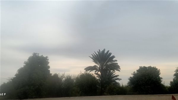 حالة الطقس بأسوان