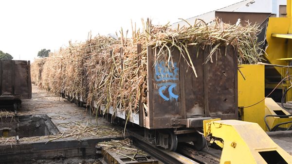 بدء موسم العصير 125