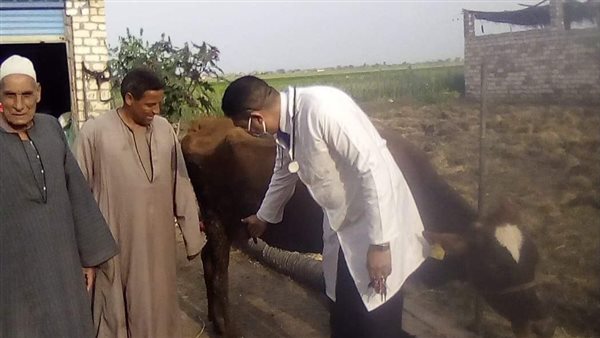 تحصين رؤوس الماشية