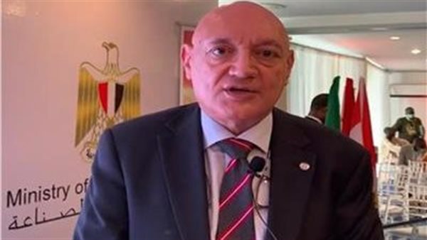 سفير مصر بالكاميرون