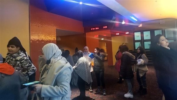 الجالية المصرية في