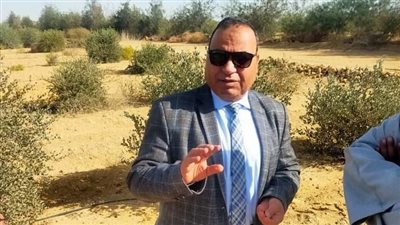 اكتشاف إصابات بدودة الحشد الخريفية في زراعات الذرة الشامية بالفيوم