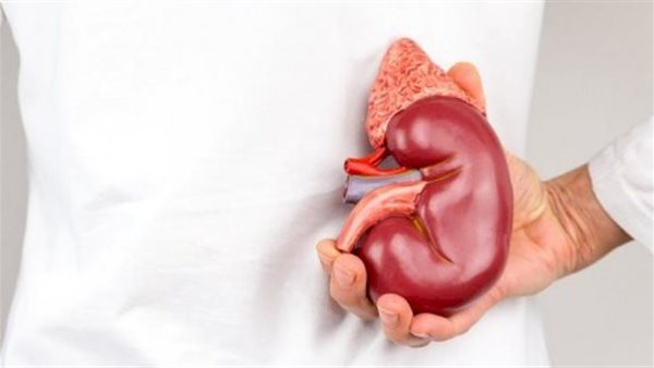 علاج الكبد الدهني