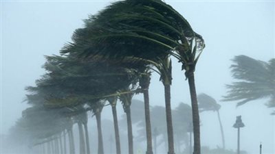 أمطار ورياح مثيرة للأتربة.. الأرصاد تكشف حالة الطقس من اليوم حتى الأحد المقبل |بث مباشر