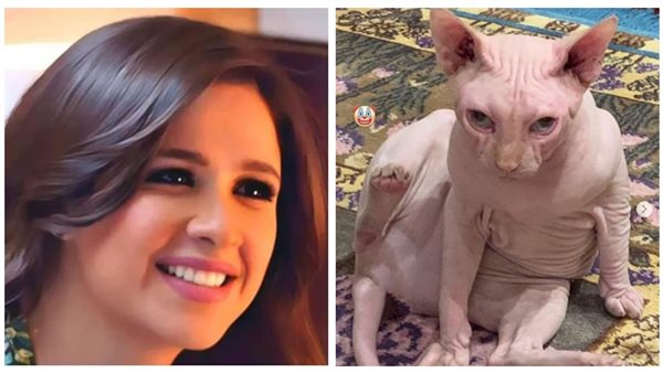 ياسمين عبد العزيز