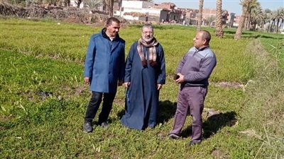 تخصيص قطعة أرض لإنشاء مدرسة للتعليم الأساسي بقرية شنرا في بني سويف