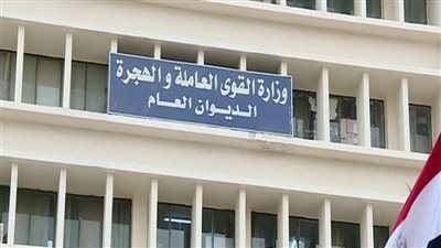 القوى العاملة: اليوم.. قبول طلبات التدريب على 8 مهن مجانًا في 5 محافظات