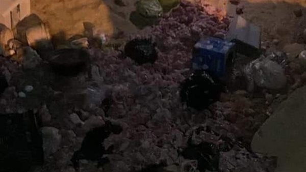 إعدام اللحوم الفاسدة