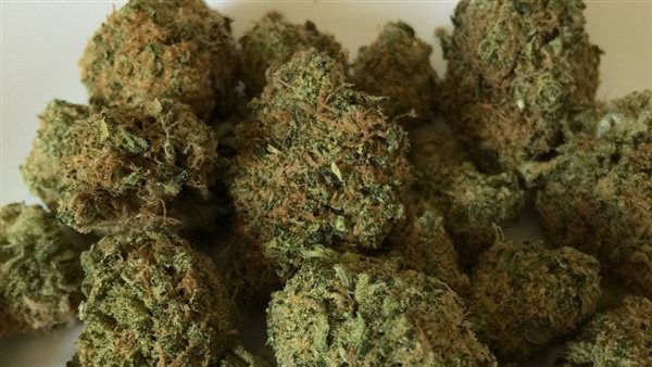 بانجو - صورة أرشيفية