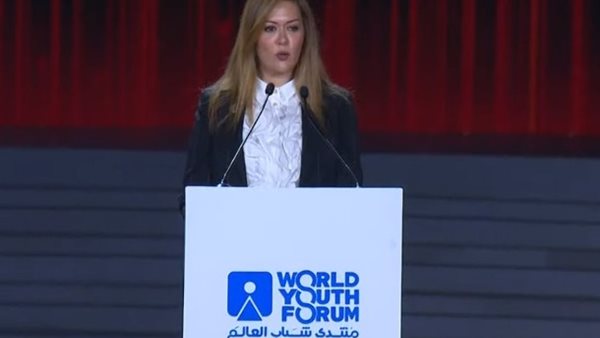 رشا راغب المدير التنفيذي